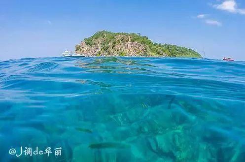 爱丽丝和闺蜜